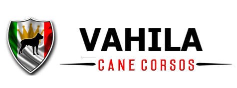 Vahila Cane Corsos