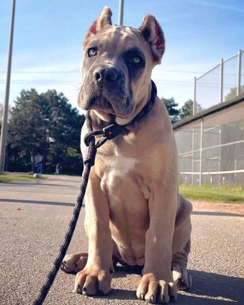 376bc5f0-7241-4683-899e-31d1988be727